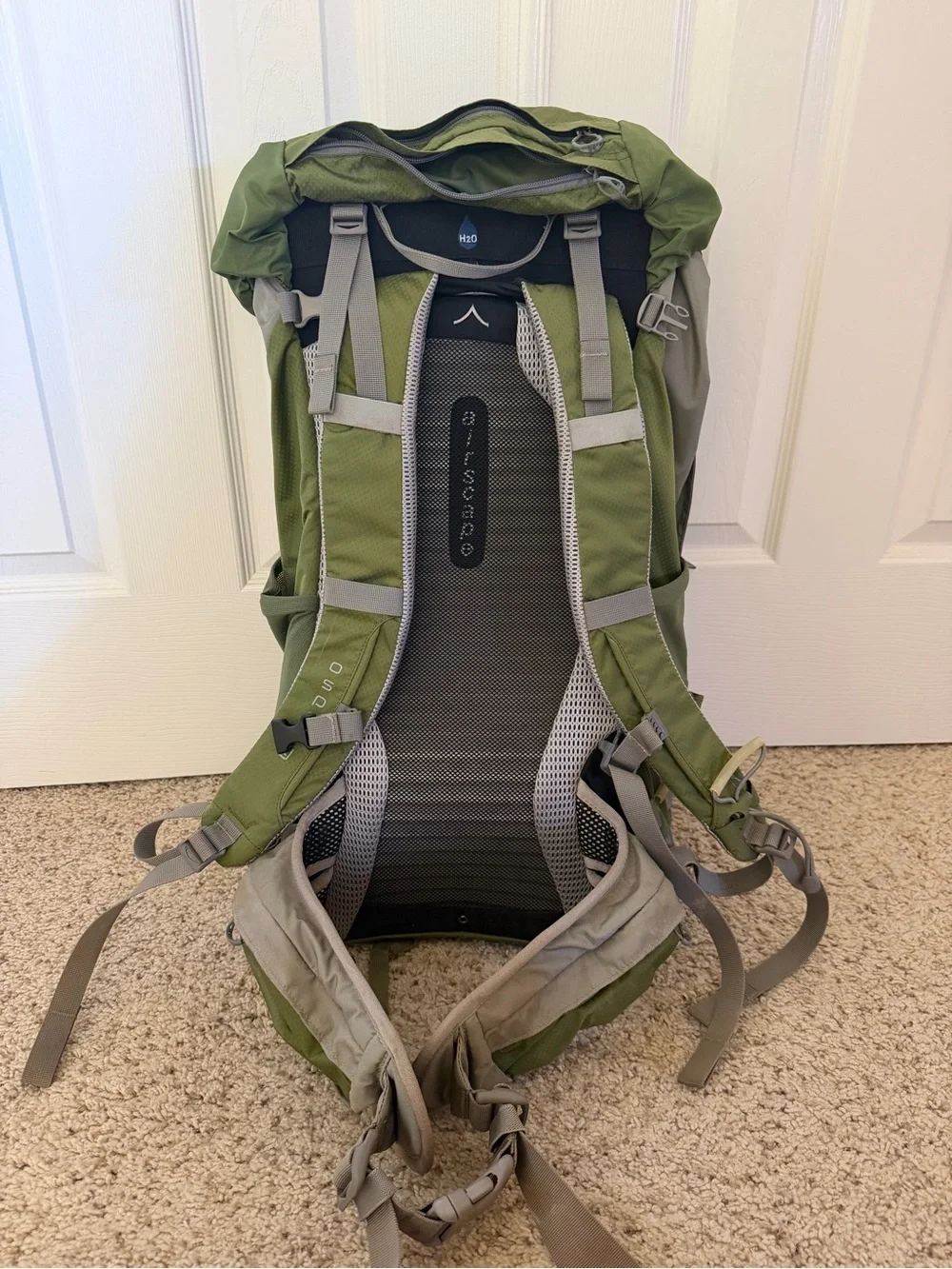 OSPREY Olive Green and Grey Men’s Hiking Backpack